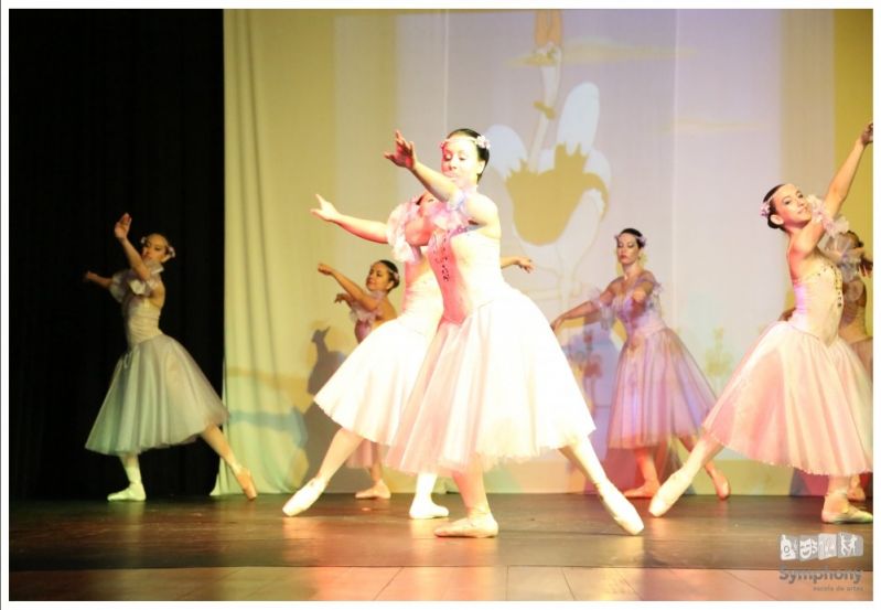 Onde Encontrar Aulas de Danças de Salão na Vila Barreira Grande - Aula de Dança