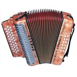 Valor de Acordeon Aula no Jardim Naufal - Valor Aula Acordeon